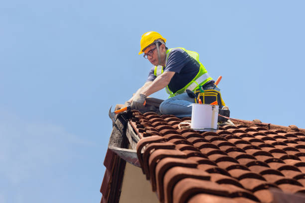 Best Chimney Flashing Repair  in Dublin, VA